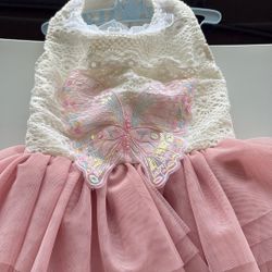 Dog Dress 👗 For A Small Dog.  