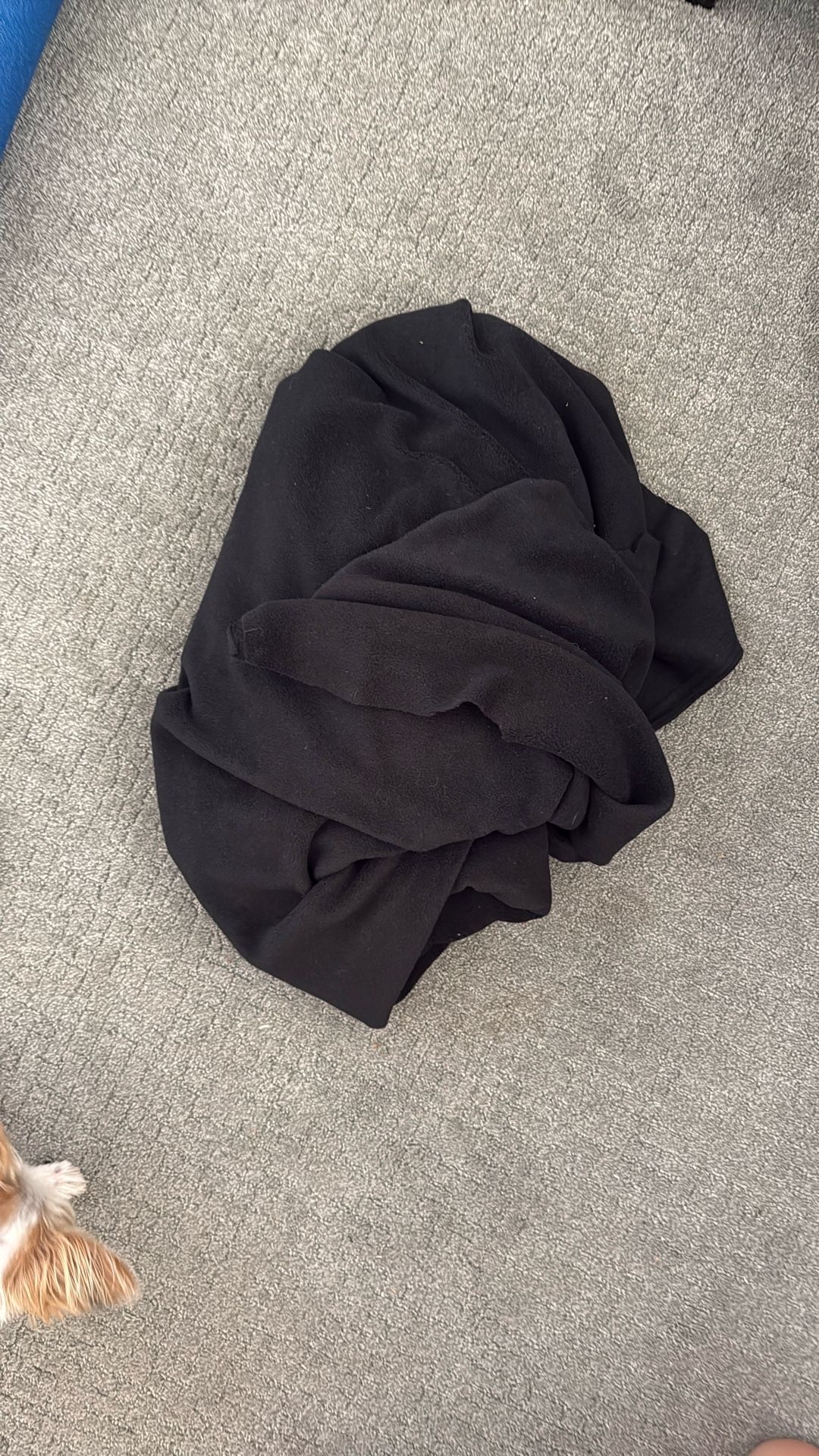 Black fleece fabric (2-ish yards)