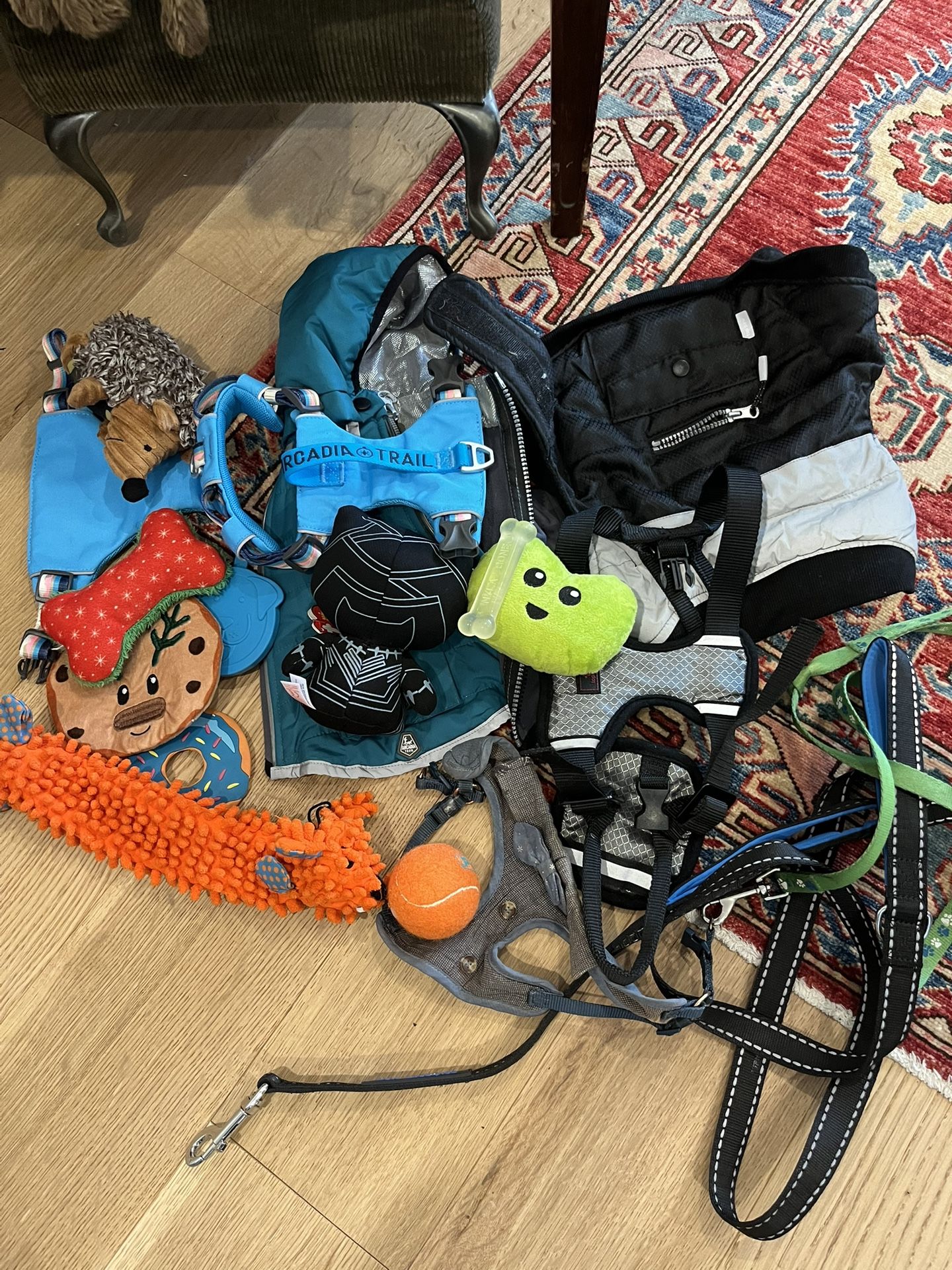 Varieties Of Dog Clothes , Toys And Leash
