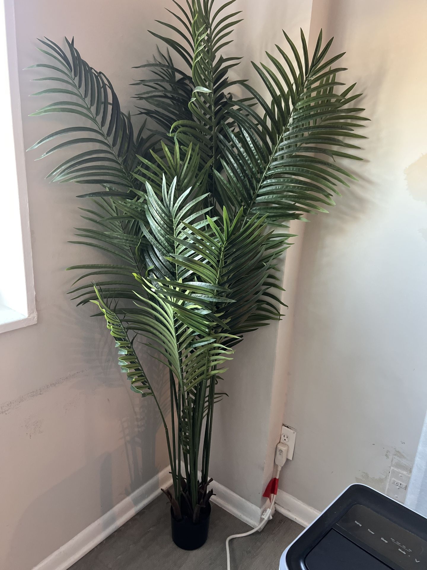 PLANTS AVAILABLE FOR SALE