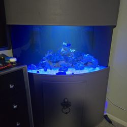 92 Gallon Bow Front Reef Tank