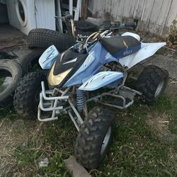 Blue Quad 