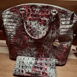 Brahmin Purse/Matching Wallet 