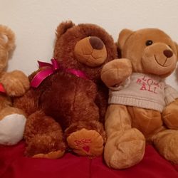 Stuff animal bears