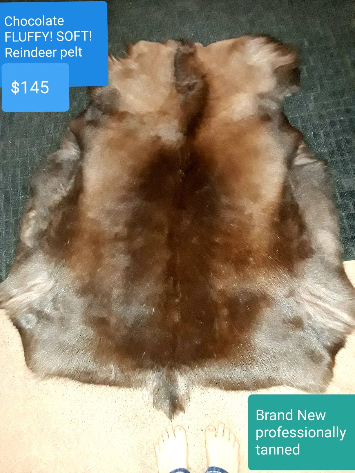 Reindeer pelt hide brand new