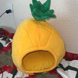 Pineapple Cat Or Small Pet 