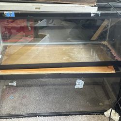 (2) 20 Gallon Tanks ($50 Each)