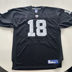 Reebok Randy Moss Stitched Raider Jersey