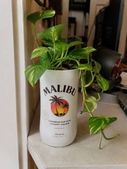 Malibu Liqour Planter Vase with holes in bottom