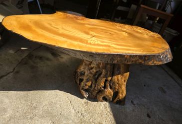 One-of-a-Kind Live Edge Burl Wood Coffee Table with Natural Root Base – Statement Piece