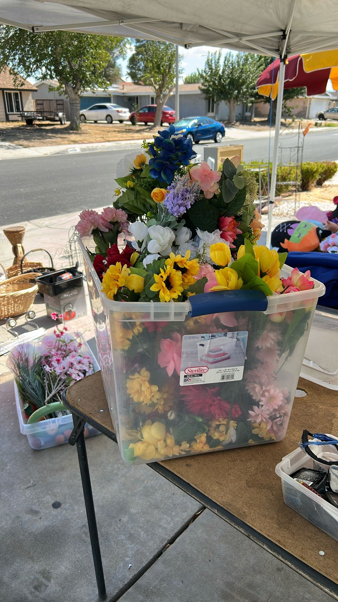 Hold Box Of Artificial Flowers