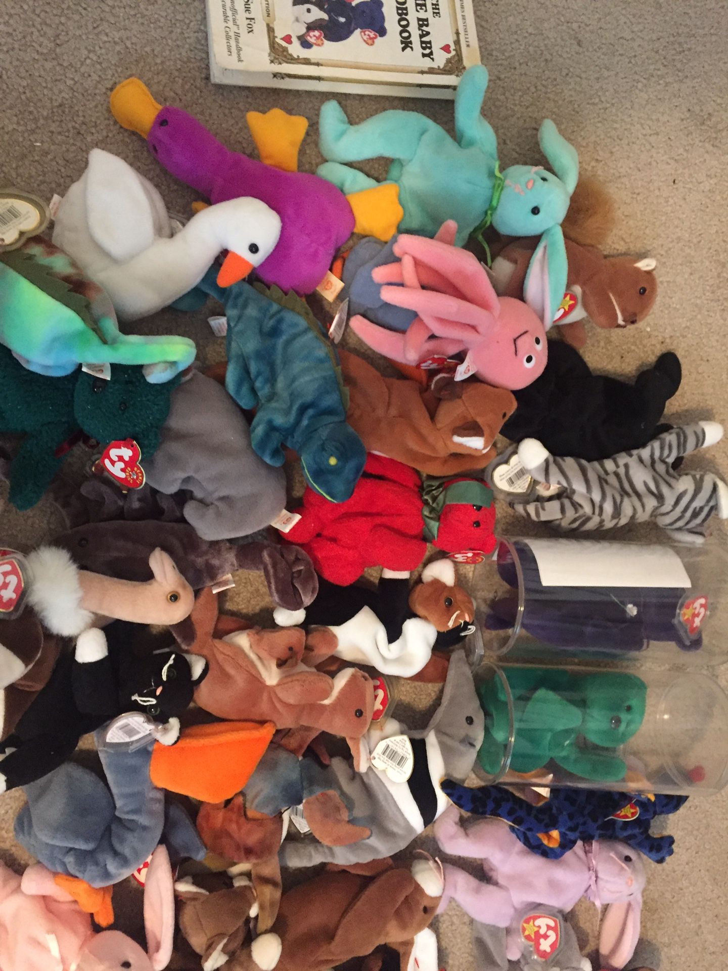 Beanie baby lot (34)