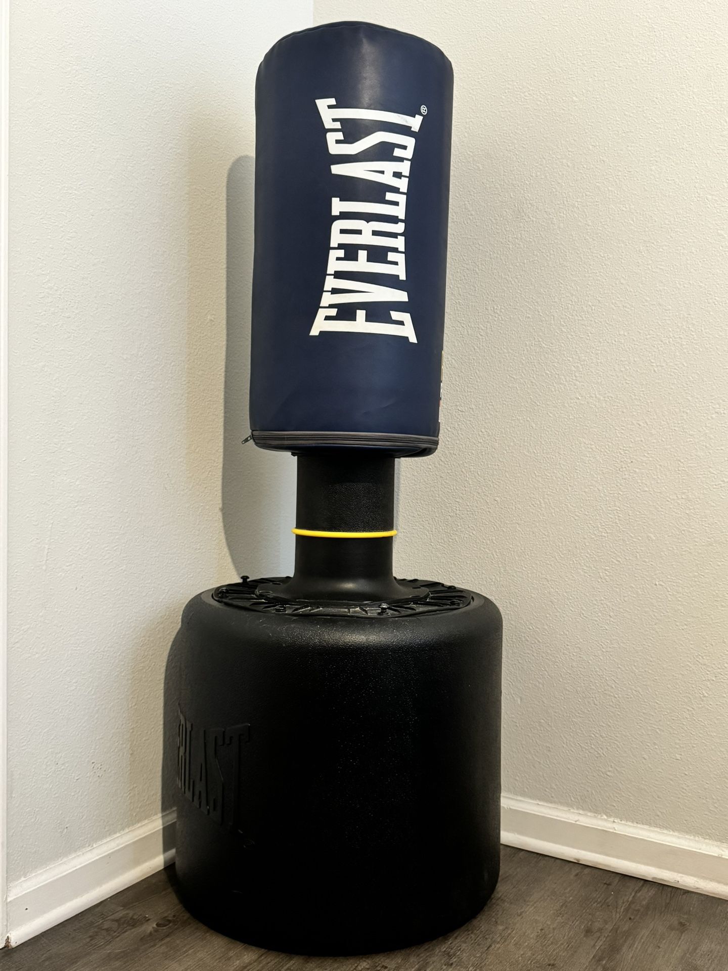 everlast punching bag 