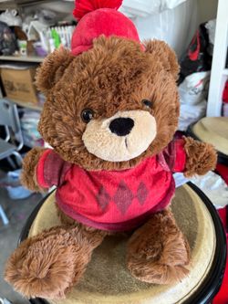 Brown Teddy Bear Plush with Red Outfit