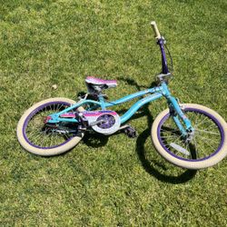 Old broke bike