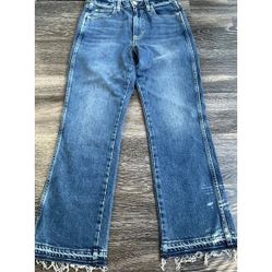 AMO Denim Chloe Crop Pant in Crush Size 27 Bella Crop High Rise Straight Ankle