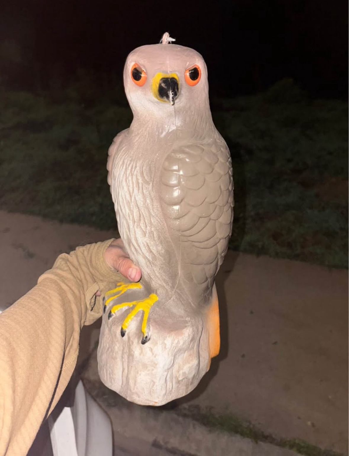 Hawk Decoy Bird B Gone