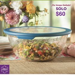 Tazón Grande Princess House