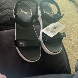 New Puma Sandle 