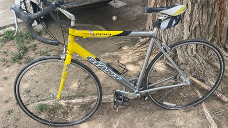 Giant bicycle