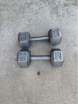 25 lb dumbbells x2