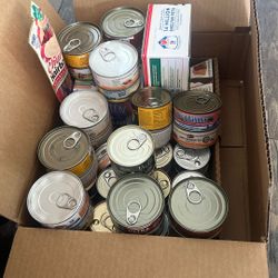 Free cat food!!!