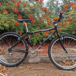 Trek VW Special Edition Mountain Bike 