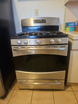 Stainless Steel Gas Range with Oven