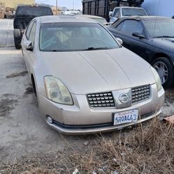 05 Maxima Part Out