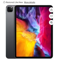 iPad Pro 256 GB Unlocked 
