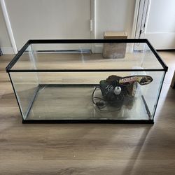 Snake Tank For Sale