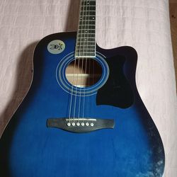 Ibanez guitar (Acoustic electric)