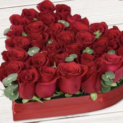 🌹 Roses