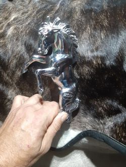 Stallion Hood Ornament Thumbnail