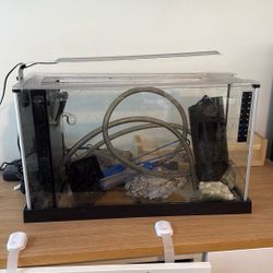 Fish Tank + Rocks