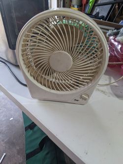 Avanico chico