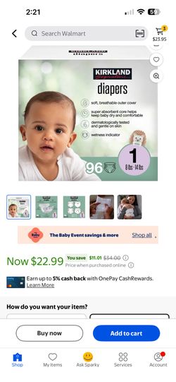Kirkland Diapers