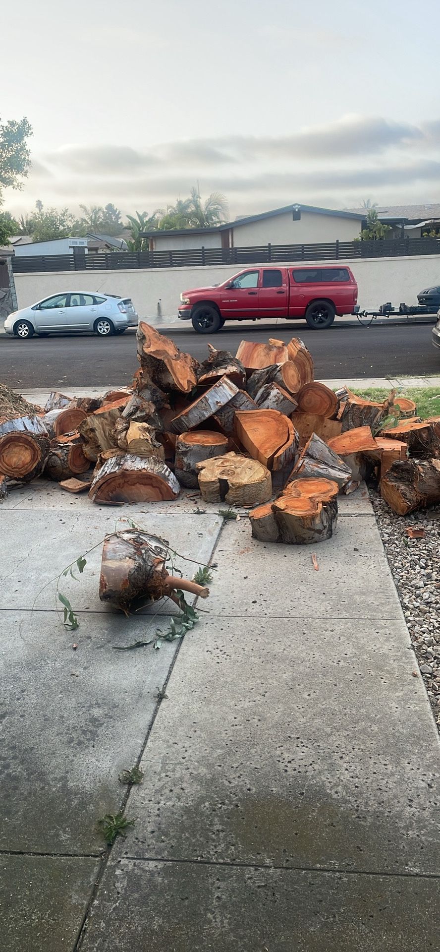Firewood Free