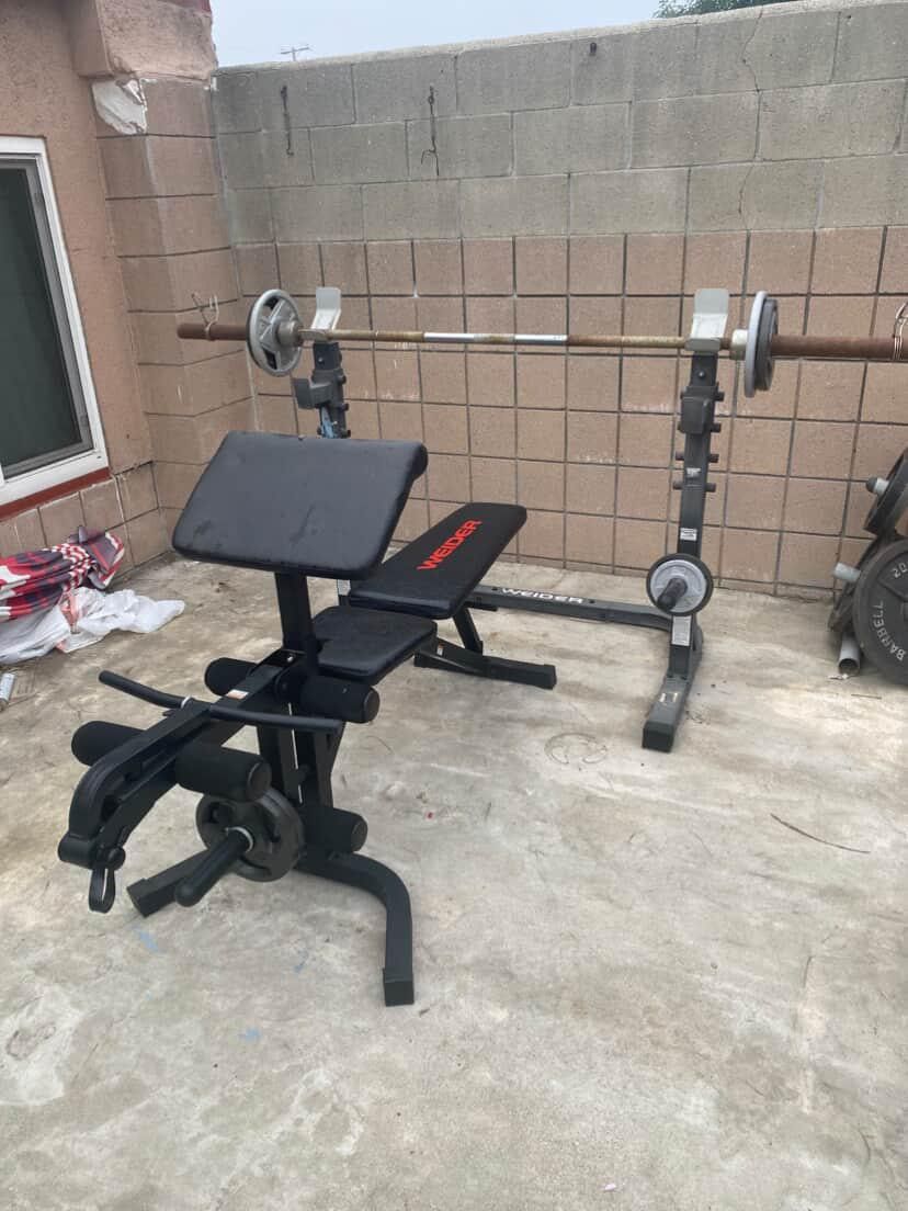 Workout Set / Weider Bench / Weider Rack / Weighted Bar And Beginner Weights