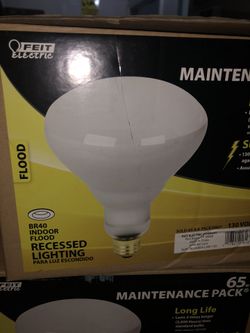 65 watt recessed light replacement bulbs