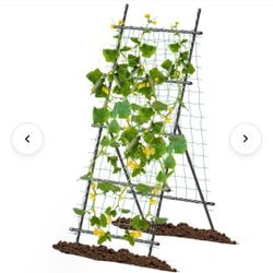 Tall Vertical Garden Trellis Plant Support Stand