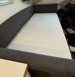 Pull Out Bed/Couch