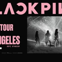 Black Pink 7/12 Sofi Stadium