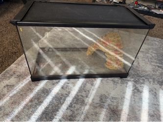 Reptile tank