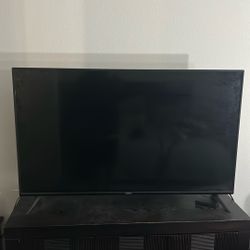 Vizio 55”