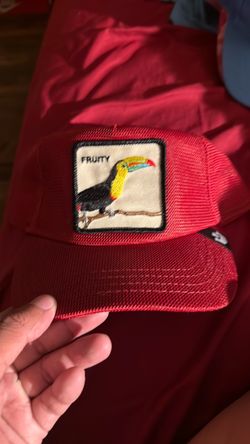 Animal Hat