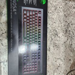 Razor Cynosa V2 Keyboard