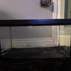 10 Gallon Fish Tanks With Light