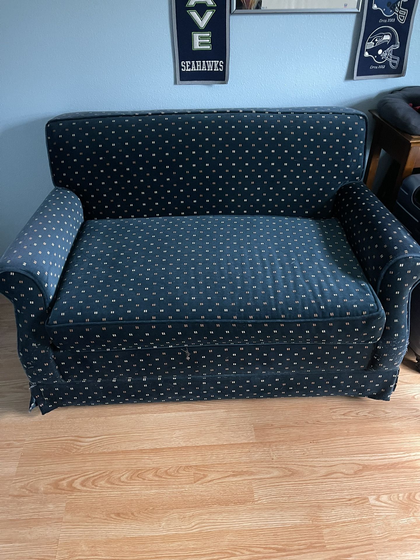 Free Twin Hide A Bed