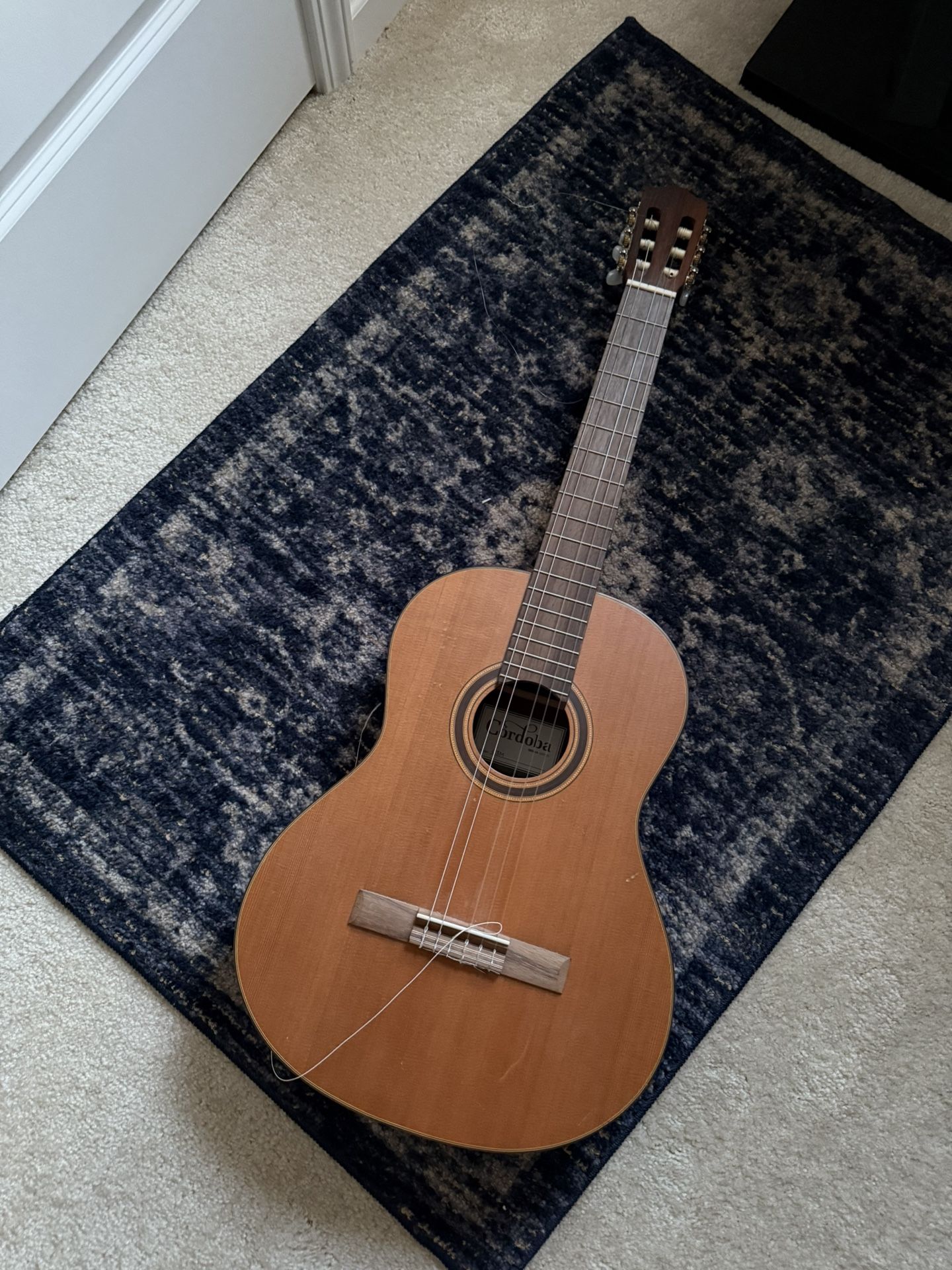 Guitar